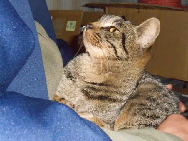 DSCN0800.JPG