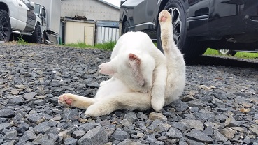 20160830_121335.jpg
