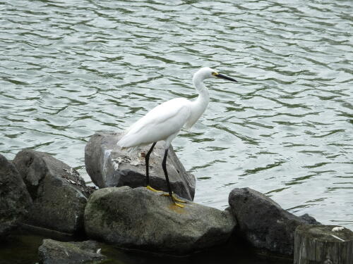 小池公園にて