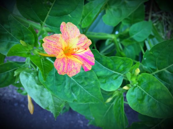 rblog-20160627205604-01.jpg