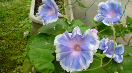 20120624082236.jpg