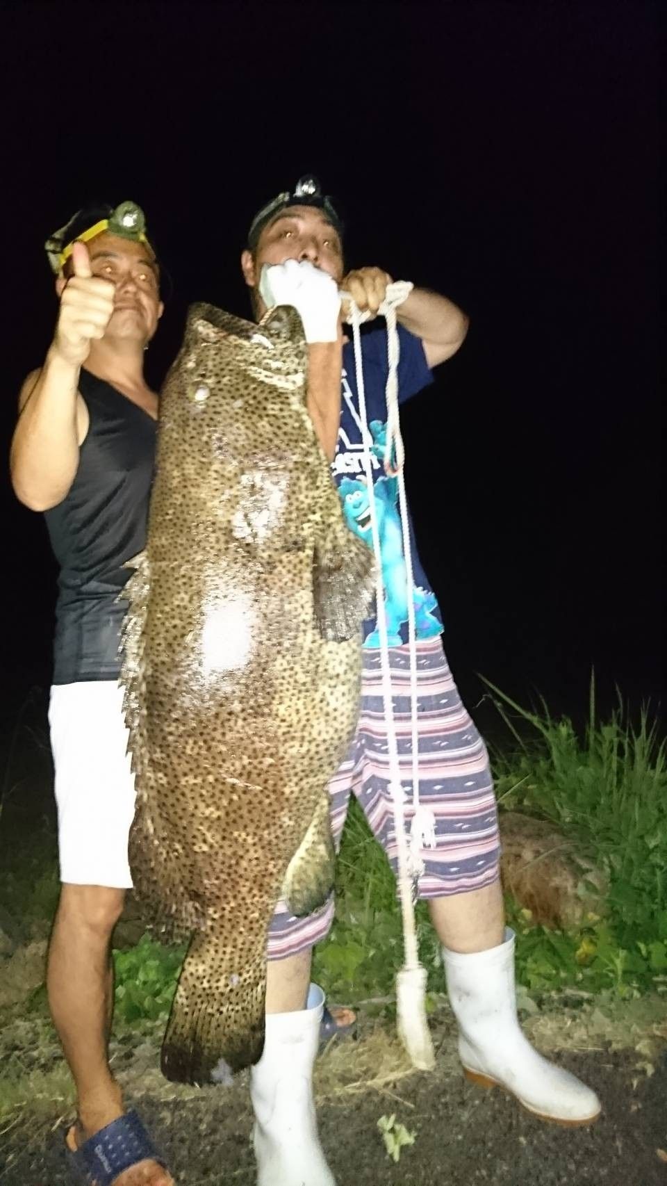 うつぼさんの夜釣りで巨魚 うつぼさんの巨魚でイカ 楽天ブログ