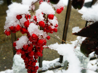 rblog-20140214173635-00.png