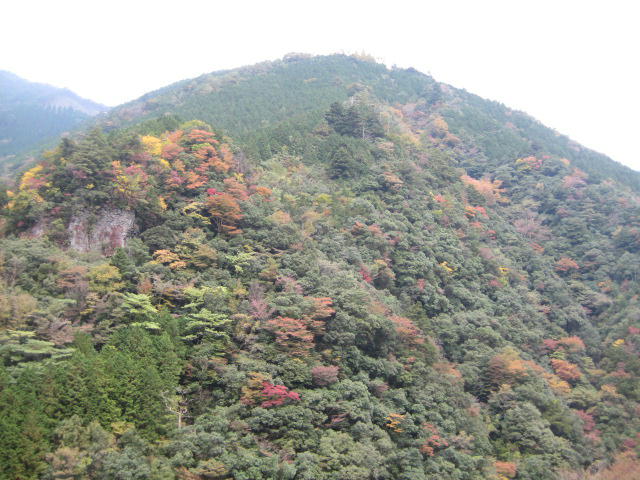 IMG_9822.JPG