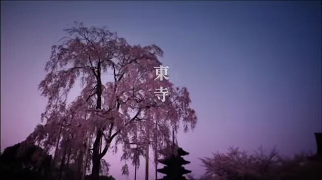 東寺春.jpg