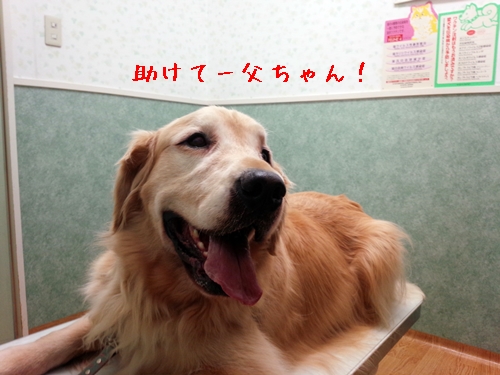 助けて.jpg