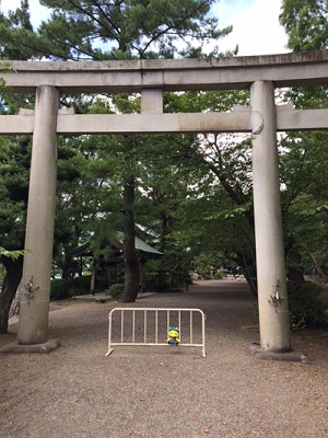 image3.JPG