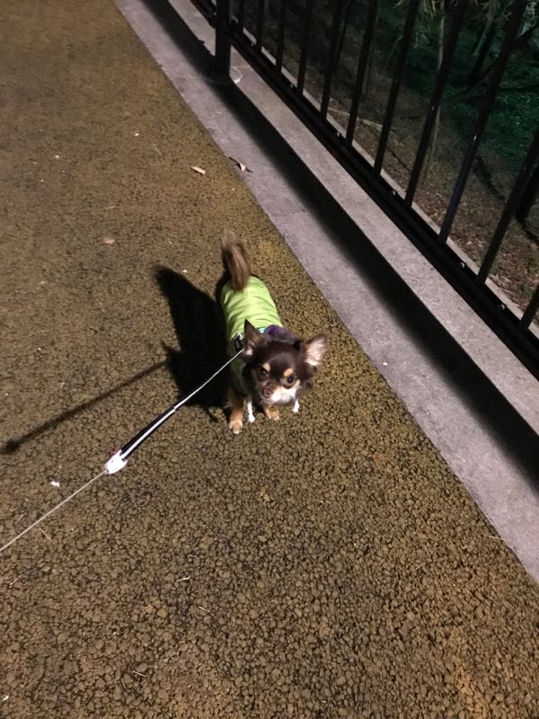 rblog-20180115222438-06.jpg