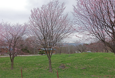 山形36.jpg