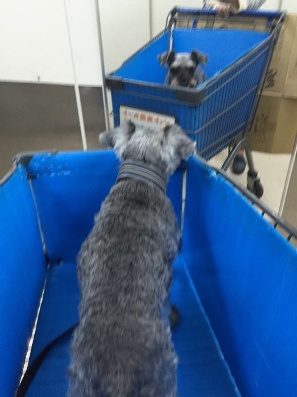 rblog-20160603021021-04.jpg