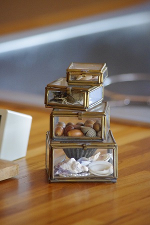 IMGP1418.JPG