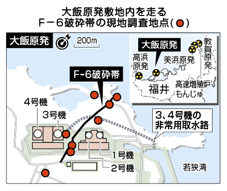 大井原発敷地内を走るF-6破砕帯.jpg