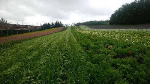 rblog-20180714075951-00.jpg