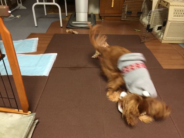 rblog-20151204093300-01.jpg