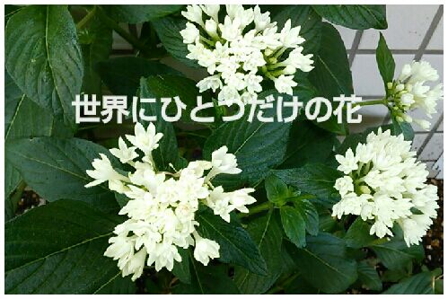 rblog-20160911171617-00.jpg
