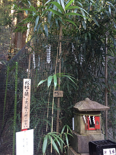 良縁祈願♪日光二荒山神社良い縁まつり | 花庵ブログ～花時間～ HANA