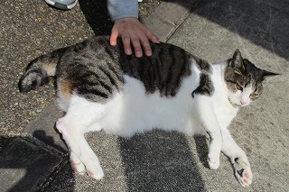 IMG_9480ss.jpg