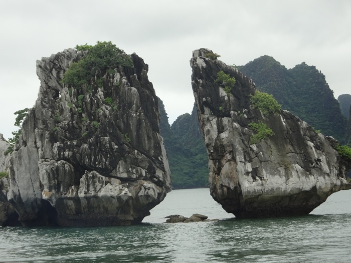 DSC09533_R.JPG