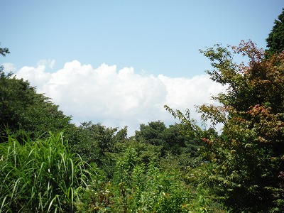 20140807富士山見えず