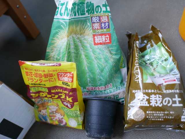 アガベ沼、要注意です！（抜き苗の植え付け編） | ～べらんでぃずむ～ ベランダ栽培日記 - 楽天ブログ