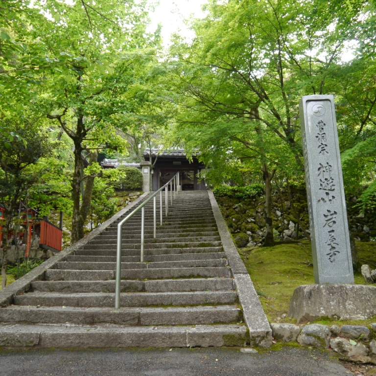 P1070432.JPG