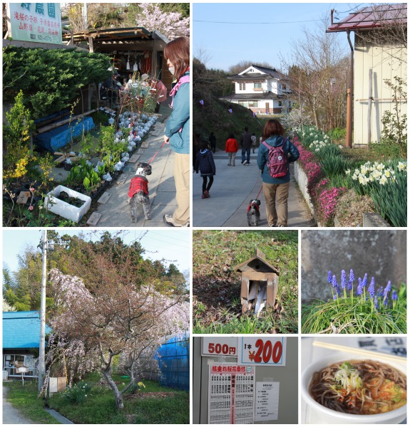 150419_10.jpg