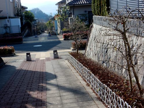 nekoyanagisakamiti2.jpg