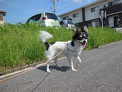 conv0010.JPG