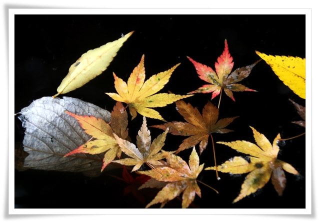 卯辰山三社-4 手水鉢-3 15.11.16