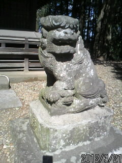 鷲神社の狛犬　２
