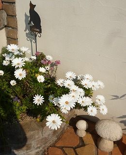 P1180005-ass.jpg