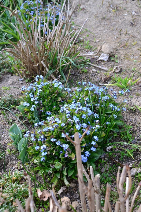 DSC_0227.JPG