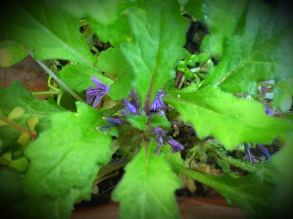 rblog-20160430181329-03.jpg