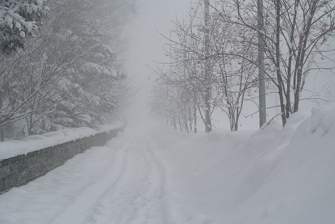 猛吹雪