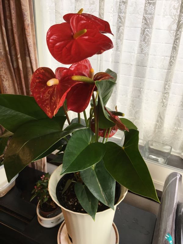 rblog-20180222190127-01.jpg
