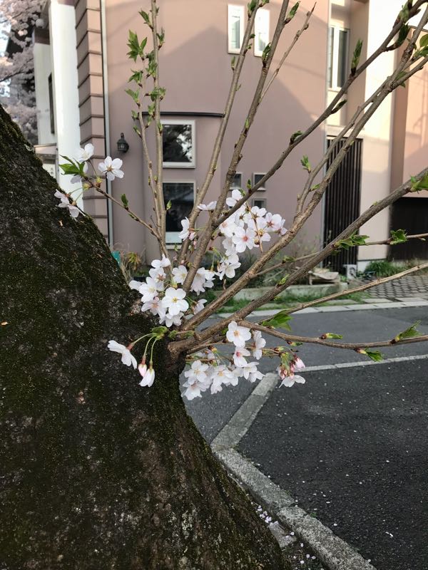 rblog-20180329185812-01.jpg