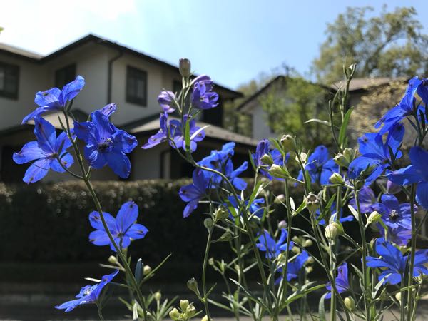 rblog-20180409192833-07.jpg