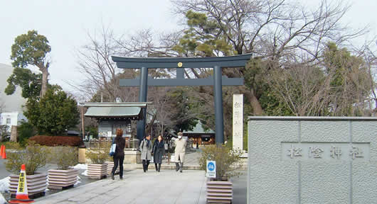 sgty-g