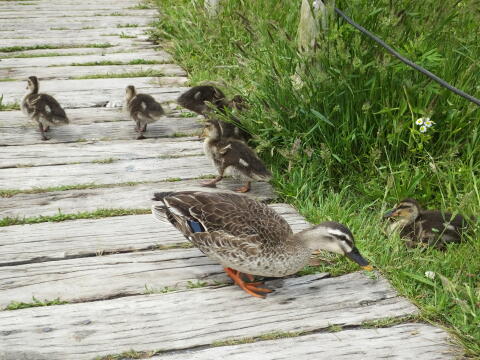 小池公園にて