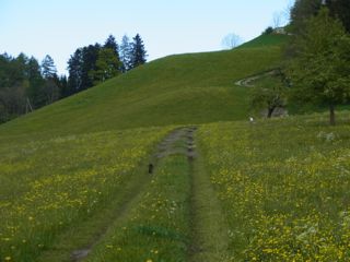 RIMG0011.jpg