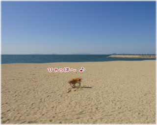 1019五色浜10.jpg