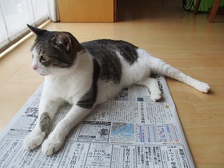 IMG_7846ss.jpg