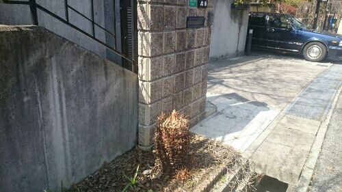 rblog-20180312212818-01.jpg