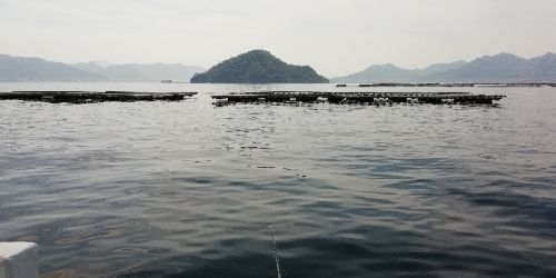 rblog-20180422143751-01.jpg