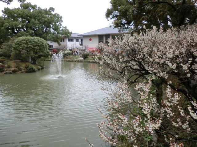 2012_0318_125206-CIMG0404.jpg