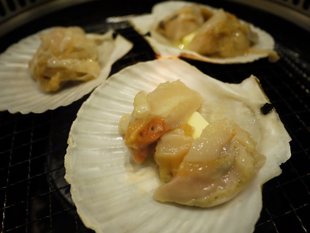 P1170524.jpg