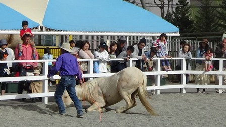 DSC00026.JPG