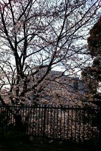 rblog-20170404221633-03.jpg