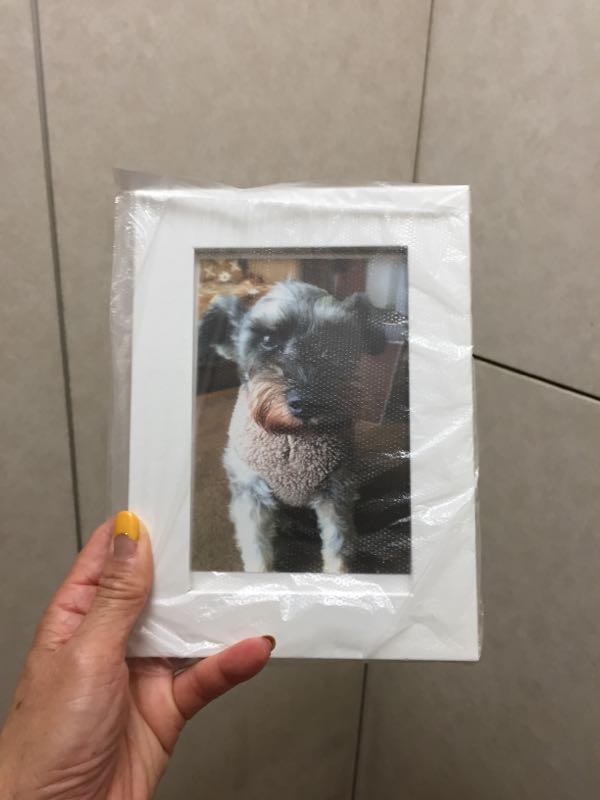 rblog-20180620175039-01.jpg