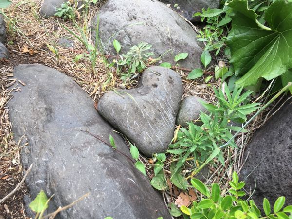 rblog-20170613191637-00.jpg